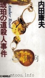 琥珀の道殺人事件   1993.05  PDF电子版封面    内田康夫 