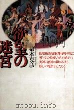 欲望の迷宮   1989.03  PDF电子版封面    橋本克彦 