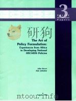 THE ART OF POLICY FORMULATION:EXPERIENCES FROM AFRICA IN DEVELOPING NATIONAL HIV/AIDS POLICIES   1999  PDF电子版封面     