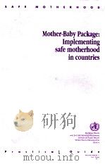 MOTHER-BABY PACKAGE:IMPLEMENTING SAFE MOTHERHOOD IN COUNTRIES     PDF电子版封面     