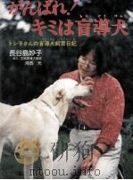 がんばれ!キミは盲導犬   1989.10  PDF电子版封面    長谷島妙子 