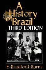 A HISTORY OF BRAZIL THIRD EDITION   1993  PDF电子版封面  0231079559   