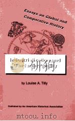ESSAYS ON GLOBAL AND COMPARATIVE HISTORY  INDUSTRIALIZATION AND GENDER INEQUALITY（1993 PDF版）
