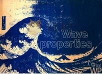 Wave Properties   1979  PDF电子版封面     