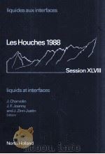 LES HOUCHES SESSION XLVIII 30 Mai-24 Juin 1988:LIQUIDES AUX INTERFACES LIQUIDS AT INTERFACES   1990  PDF电子版封面  0444884505   