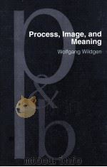 PROCESS IMAGE AND MEANING A REALISTIC MODEL OF THE MEANINGS OF SENTENCES AND NARRATIVE TEXTS   1994  PDF电子版封面  902725043X  WOLFGANG WILDGEN UNIVERSITY OF 