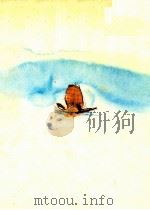 白鳥のむすめ   1976  PDF电子版封面    永山絹枝 