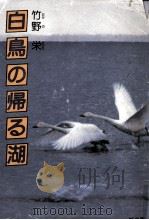 白鳥の帰る湖   1981.11  PDF电子版封面    竹野栄 