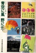 青空に風野に光   1982.11  PDF电子版封面     