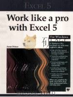 EXCEL 5 WORK LIKE A PRO WITH EXCEL 5 FOR WINDOWS（1995 PDF版）