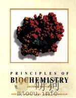 PRINCIPLES OF BIOCHEMISTRY SECOND EDITON（1996 PDF版）