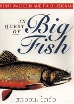 IN QUEST OF BIG FISH   1995  PDF电子版封面  1550137352   