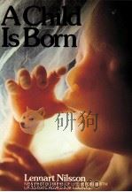 A CHILD IS BORN   1977  PDF电子版封面  0385281366   