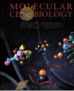 MOLECULAR CELL BIOLOGY THIRD EDITION（1995 PDF版）