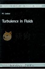 TURBULENCE IN FLUIDS STOCHASTIC AND NUMERICAL MODELLING   1987  PDF电子版封面    MARCEL LESIEUR 