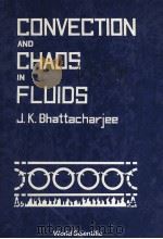 CONVECTION AND CHAOS IN FLUIDS（1987 PDF版）