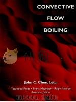 CONVECTIVE FLOW BOILING   1996  PDF电子版封面  1560325070   