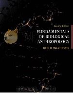 FUNDAMENTALS OF BIOLOGICAL ANTHROPOLOGY SECOND EDITION   1997  PDF电子版封面  1559346671  JOHN H.RELETHFORD 