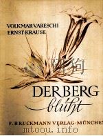 DER BERG GLUHT   1938  PDF电子版封面     