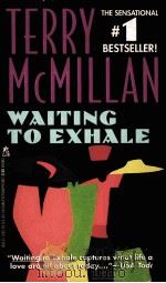 TERRY MCMILLAN WAITING TO EXHALE   1992  PDF电子版封面  0671864173   