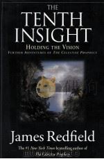 THE TENTH INSIGHT   1996  PDF电子版封面  0446519081   