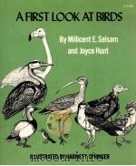 A FIRST LOOK AT BIRDS   1973  PDF电子版封面     