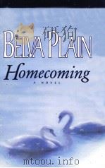 BELVA PLAIN HOMECOMING   1997  PDF电子版封面  0385319800   
