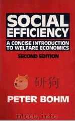 SOCIAL EFFICIENCY A CONCISE INTRODUCTION TO WELFARE ECONOMICS SECOND EDITION   1973  PDF电子版封面  0333441354  PETER BOHM 