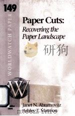PAPER CUTS:RECOVERING THE PAPER LANDSCAPE（1999 PDF版）