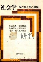 社会学   1984.04  PDF电子版封面    川合隆 