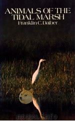 ANIMALS OF THE TIDAL MARSH   1982  PDF电子版封面    FRANKLIN C.DAIBER 