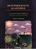 INERMEDIATE ALGEBRA:A JUST-IN-TIME APPROACH   1997  PDF电子版封面  0534956661  ALICE KASEBERG 