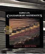 TOPICS IN CONTEMPORARY MATHEMATICS FIFTH EDITION（1993 PDF版）