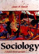 SOCIOLOGY A DOWN-TO-EARTH APPROACH   1993  PDF电子版封面  0205150381   