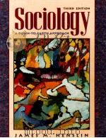 SOCIOLOGY:A DOWN-TO-EARTH APPROACH THIRD EDITION   1997  PDF电子版封面     