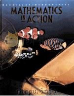 MATHEMATICS IN ACTION（1991 PDF版）