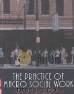 THE PRACTICE OF MACRO SOCIAL WORK（1996 PDF版）