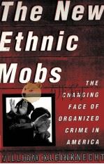 THE NEW ETHNIC MOBS:THE CHANGING FACE OF ORGANIZED CRIME IN AMERICA（1996 PDF版）