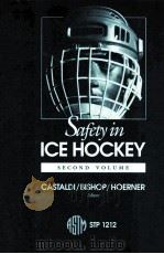 SAFETY IN ICE HOCKEY:SECOND VOLUME STP 1212（1993 PDF版）