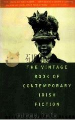 THE VINTAGE BOOK OF CONTEMPORARY IRISH FICTION   1994  PDF电子版封面  0679765468  DERMOT BOLGER 