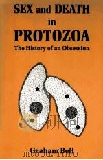 SEX AND DEATH IN PROTOZOA THE HISTORY OF AN OBSESSION     PDF电子版封面  0521361419  GRAHAM BELL 