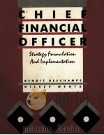 CHIEF FINANCIAL OFFICER STRATEGY FORMULATION AND IMPLEMENTATION   1988  PDF电子版封面  0471848921   
