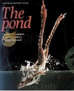 THE POND（ PDF版）