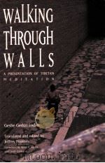 WALKING THROUGH WALLS（1992 PDF版）