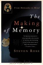 THE MAKING OF MEMORY FROM MOLECULES TO MIND   1992  PDF电子版封面  0385471213  STEVEN ROSE 