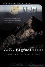 WHERE BIGFOOT WALKS   1995  PDF电子版封面  0395857015  ROBERT MICHAEL PYLE 