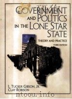 GOVERNMENT AND POLITICS IN THE LONE STAR STATE THEORY AND PRACTICE THIRD EDITION（1999 PDF版）