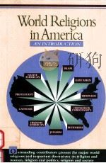 WORLD RELIGIONS IN AMERICA AN INTRODUCTION   1994  PDF电子版封面  0664253008  JACOB NEUSNER 