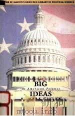 BIG IDEAS:AN INTRODUCTION TO IDEOLOGIES IN AMERICAN POLITICS   1997  PDF电子版封面  0312153724  R.MARK TILLER 