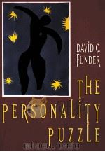 THE PERSONALITY PUZZLE   1997  PDF电子版封面  0393969932  DAVID C.FUNDER 